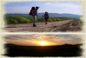 Nájera-Santo Domingo de la Calzada:   23 km