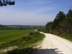 Op weg naar San Juan de Ortega